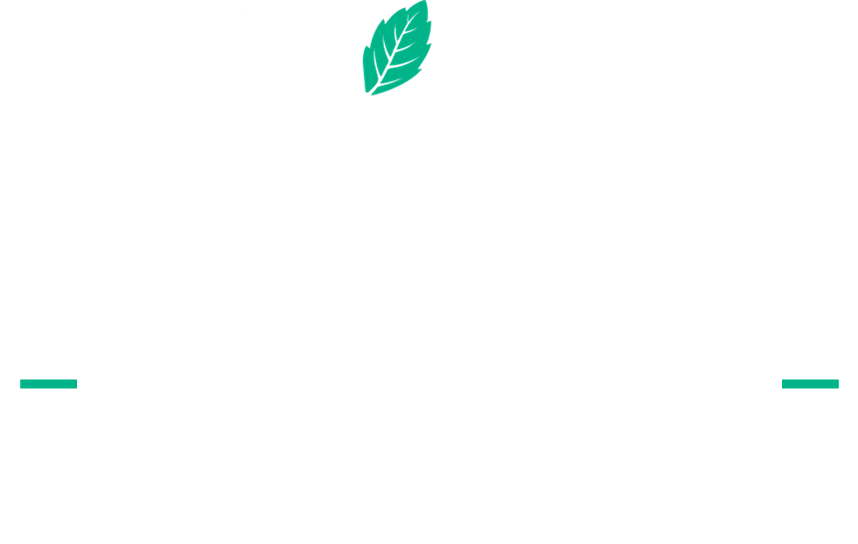 Mint Hotels — Official Accommodation Partner